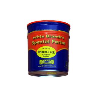 Branths Robust paint (quick drying) can 0.75 l white RAL 9010