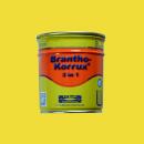 Brantho Korrux "3 in 1" 0.75 liter can yellow RAL 1016